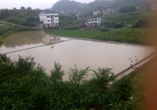 王家鱼塘