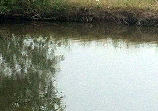 开发区活水鱼场