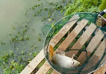 新东关桥垂钓园