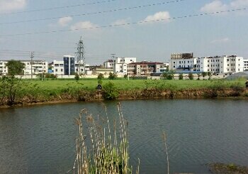 黄岗寺庄户头村西