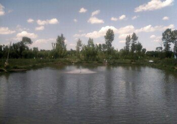 大保当渔鹰垂钓俱乐部