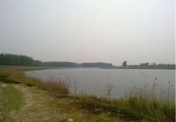 孔雀鱼村垂钓中心