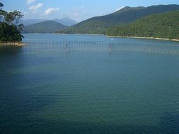 洋古坑水库