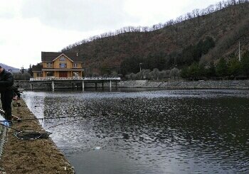 庄园山庄钓鱼场