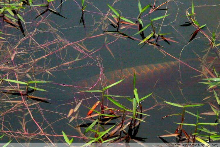 烟台科技园消防主题公园