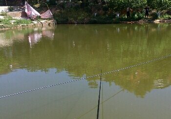 玉溪樱桃园垂钓