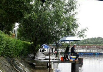 兴樟湾垂钓基地