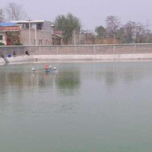 泾阳幸福垂钓园