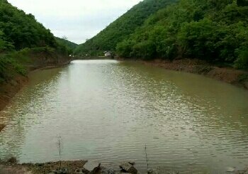 何坑坞垂钓中心