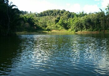 巴娥水库（勐海南糯山）