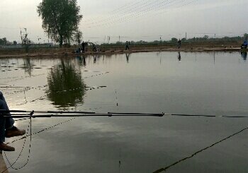 吴家庄垂钓园