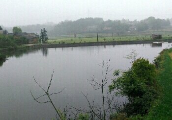 肖家湾鱼塘