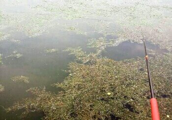 京杭运河分支不老河