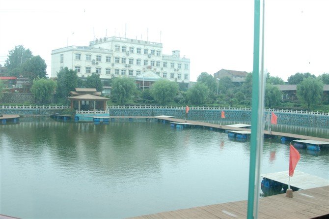 汤逊湖黄松林休闲钓鱼台