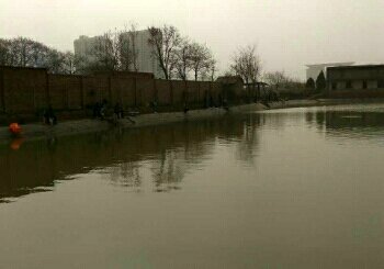 渭富小东垂钓园