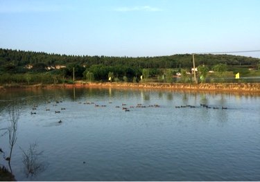 前进水库垂钓中心