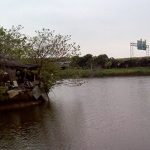 刘家宕老太鱼塘