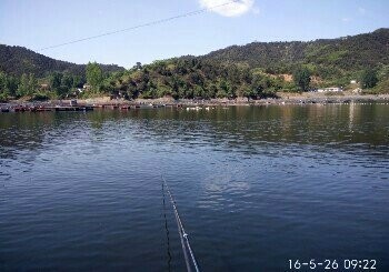 高家庄张超垂钓园