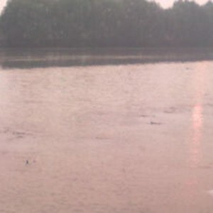 巾荡大桥上官河段