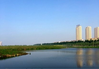 沙岭俪锦城钓场