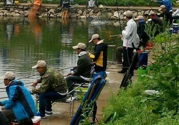 榆树底渔友垂钓园