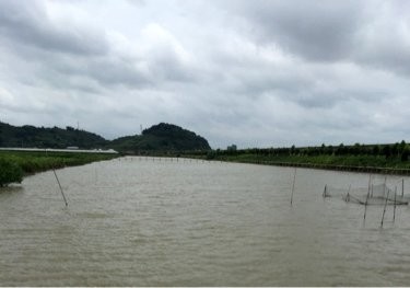 白壁革新塘休闲垂钓中心