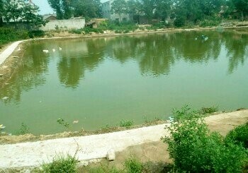 鑫鑫钓鱼俱乐部