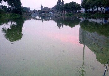 新燕大道与玉盘路交叉桥