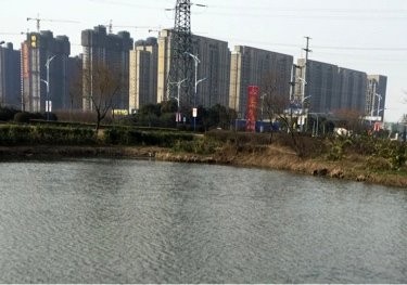 南二环路，消防大队门前东侧