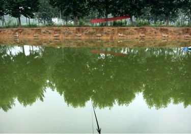 储兰垂钓俱乐部