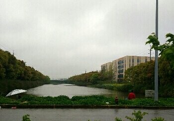 金桥加工区内河