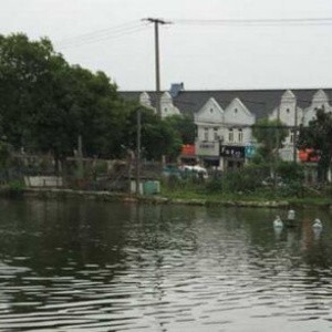 崧泽小白兔钓场