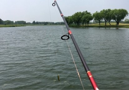 太阳岛国际俱乐部