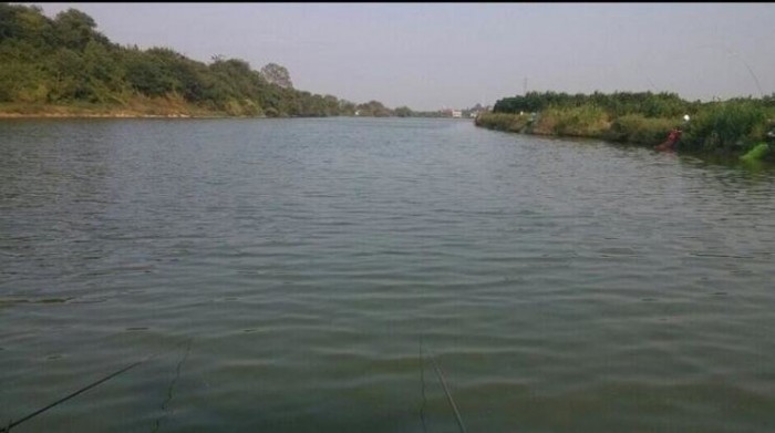 王家桥头村钓场