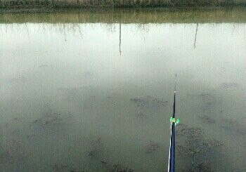 临江工业园区景观河