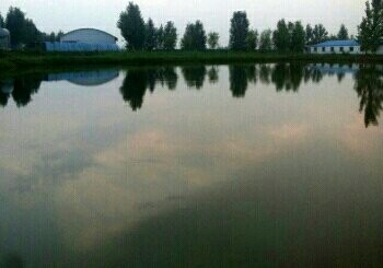 鹏云垂钓娱乐场