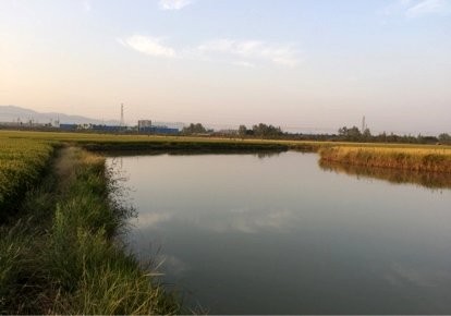 太平和顺家庭农场