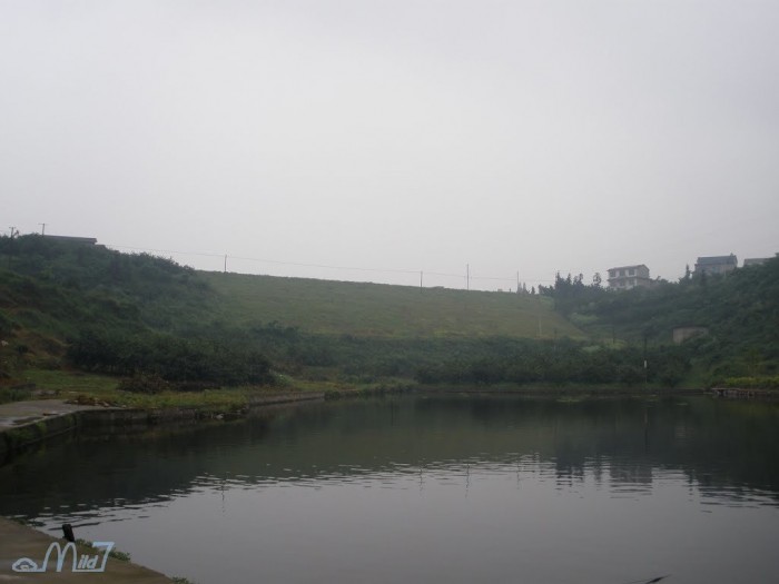 西坡鱼塘