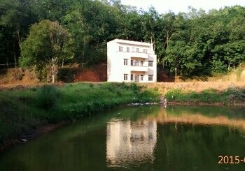 进财荔枝园钓鱼场