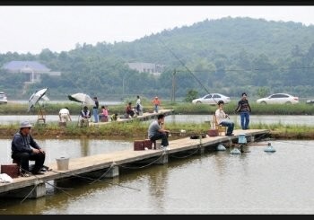 大杏花渔乐生态园