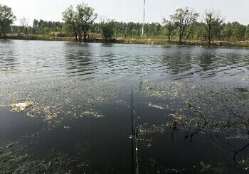 徒垓河姜堤乐园段