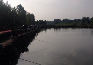 滨河垂钓园