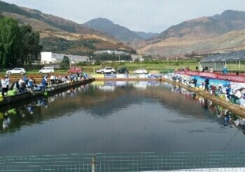 泰和生态钓鱼场