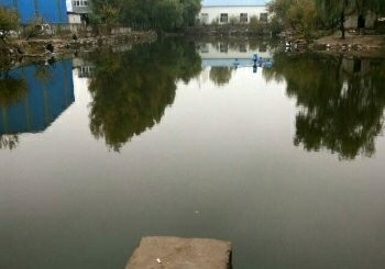 天天有鱼垂钓园