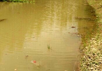 沙河沟太平庄河段
