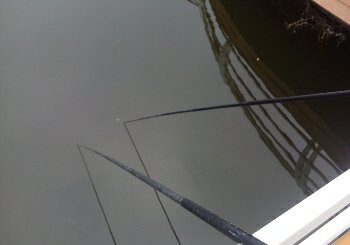 港里河白龙店段