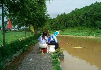 农家小院垂钓园