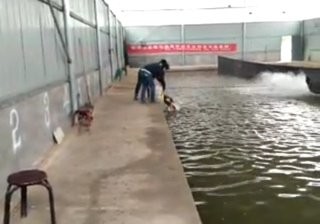 军友暖棚垂钓园