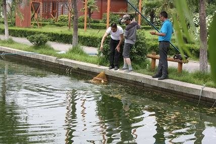 和顺休闲钓鱼农庄