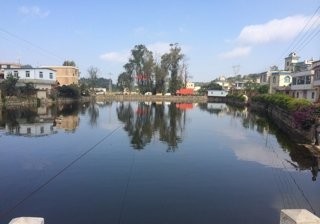 青山村门前塘子